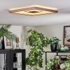 Ilion Plafoniera, Panel LED Nichel opaco, Bianco, 1-Luce