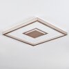Ilion Plafoniera, Panel LED Nichel opaco, Bianco, 1-Luce