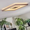 Ilion Plafoniera, Panel LED Nichel opaco, Bianco, 1-Luce