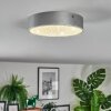 Elmar Plafoniera, Panel LED Argento, 1-Luce