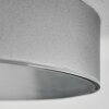 Elmar Plafoniera, Panel LED Argento, 1-Luce