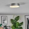Elmar Plafoniera, Panel LED Argento, 1-Luce
