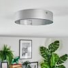 Elmar Plafoniera, Panel LED Argento, 1-Luce