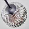 Ripoll Plafoniera, Lampada a sfera Cromo, Chiaro, Grigio fumo, 6-Luci