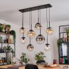 Gastor Lampadario a sospensione, Lampada a sfera, Lampada a sospensione Ambrato, Chiaro, Grigio fumo, 8-Luci