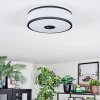 Elran Plafoniera LED Nero, Bianco, 1-Luce