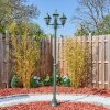 Naofe Lampione multibraccia, Illuminazione viale Verde, Nero, 3-Luci