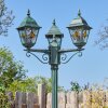 Naofe Lampione multibraccia, Illuminazione viale Verde, Nero, 3-Luci
