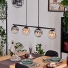 Gastor Lampadario a sospensione, Lampada a sfera, Lampada a sospensione Ambrato, Chiaro, Grigio fumo, 4-Luci