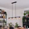 Koyoto Lampadario a sospensione, Lampada a sfera, Lampada a sospensione Ambrato, Chiaro, 4-Luci