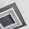Lidor Plafoniera LED Nero, 1-Luce