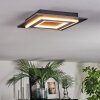 Lidor Plafoniera LED Nero, 1-Luce
