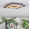 Lidor Plafoniera LED Nero, 1-Luce
