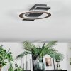 Lidor Plafoniera LED Nero, 1-Luce