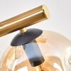 Ripoll Plafoniera, Lampada a sfera Oro, Nero, 10-Luci