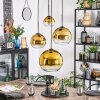 Koyoto Lampadario a sospensione, Lampada a sfera, Lampada a sospensione 35 cm Oro, Chiaro, 4-Luci