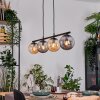Gastor Lampadario a sospensione, Lampada a sfera, Lampada a sospensione Ambrato, Grigio fumo, 4-Luci