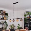 Gastor Lampadario a sospensione, Lampada a sfera, Lampada a sospensione Ambrato, Grigio fumo, 4-Luci