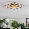 Manor Plafoniera LED Nero, 1-Luce, Telecomando