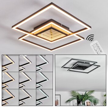 Manor Plafoniera LED Nero, 1-Luce, Telecomando