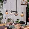 Gastor Lampadario a sospensione, Lampada a sfera, Lampada a sospensione Ambrato, Chiaro, Grigio fumo, 4-Luci
