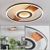 Hadel Plafoniera LED Aspetto del legno, Nero, 1-Luce