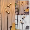 Koyoto Lampada a sfera, Lampada da terra Ambrato, Chiaro, Grigio fumo, 5-Luci