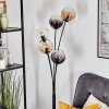 Koyoto Lampada a sfera, Lampada da terra Ambrato, Chiaro, Grigio fumo, 5-Luci