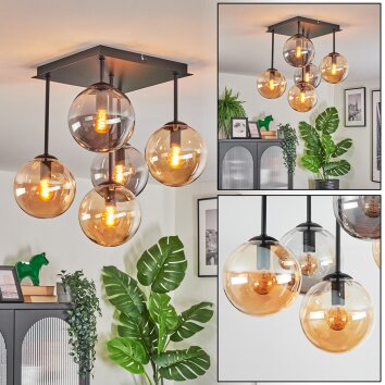 Gastor Plafoniera, Lampada a sfera Ambrato, Grigio fumo, 5-Luci Gastor Plafoniera, Lampada a sfera Ambrato, Grigio fumo, 5-Luci