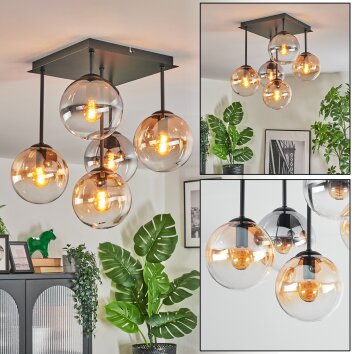 Gastor Plafoniera, Lampada a sfera Ambrato, Chiaro, Grigio fumo, 5-Luci