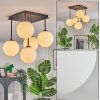 Gastor Plafoniera, Lampada a sfera Bianco, 5-Luci