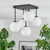 Gastor Plafoniera, Lampada a sfera Bianco, 5-Luci