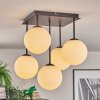 Gastor Plafoniera, Lampada a sfera Bianco, 5-Luci