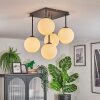 Gastor Plafoniera, Lampada a sfera Bianco, 5-Luci