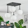 Gastor Plafoniera, Lampada a sfera Bianco, 5-Luci