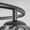 Koyoto Plafoniera, Lampada a sfera 37 cm Chiaro, Grigio fumo, 3-Luci