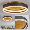 Guine Plafoniera LED Oro, Nero, 1-Luce