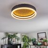 Guine Plafoniera LED Oro, Nero, 1-Luce
