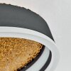 Guine Plafoniera LED Oro, Nero, 1-Luce