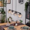 Ripoll Lampadario a sospensione, Lampada a sfera, Lampada a sospensione Ambrato, Chiaro, Grigio fumo, 4-Luci