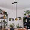 Ripoll Lampadario a sospensione, Lampada a sfera, Lampada a sospensione Blu, Oro, Verde, 4-Luci