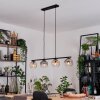 Ripoll Lampadario a sospensione, Lampada a sfera, Lampada a sospensione Ambrato, Chiaro, Grigio fumo, 4-Luci