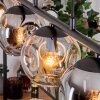 Ripoll Lampadario a sospensione, Lampada a sfera, Lampada a sospensione Ambrato, Grigio fumo, 5-Luci