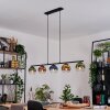 Koyoto Lampadario a sospensione, Lampada a sfera, Lampada a sospensione Blu, Oro, Verde, Chiaro, Ramato, 5-Luci