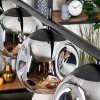 Ripoll Lampadario a sospensione, Lampada a sfera, Lampada a sospensione Grigio fumo, 4-Luci