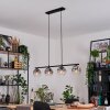 Ripoll Lampadario a sospensione, Lampada a sfera, Lampada a sospensione Chiaro, Grigio fumo, 4-Luci