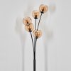 Koyoto Lampada a sfera, Lampada da terra Ambrato, 5-Luci