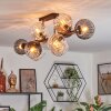 Koyoto Plafoniera, Lampada a sfera Ambrato, Chiaro, Grigio fumo, 10-Luci