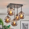 Gastor Plafoniera, Lampada a sfera Grigio fumo, 5-Luci