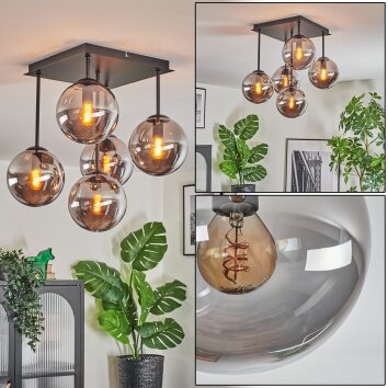 Gastor Plafoniera, Lampada a sfera Grigio fumo, 5-Luci Gastor Plafoniera, Lampada a sfera Grigio fumo, 5-Luci